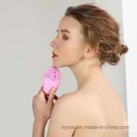 Factory Silicone Face Washing Cleaner Electric Cleaning Brush